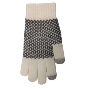 Winter Glove