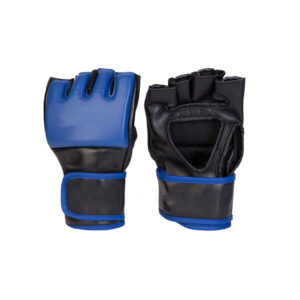 MMA Gloves